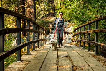 Happy woman and her excited dog hike across foot bridge