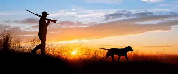 Foto op Plexiglas A chocolate (brown) Labrador retriever out hunting for pheasants. © LUGOSTOCK