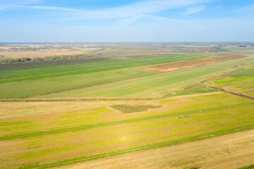 Fototapeta na wymiar Top view of agricultural fields in autumn day