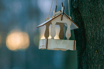 A feeder for small birds (tits) hangs on a tree in winter. The rays of the setting sun in the background