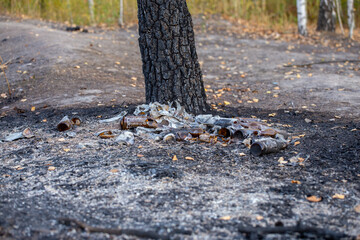 burned pile of trash under tree - close-up with selective focus