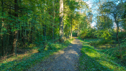 Obraz premium Hannover Seelhorst