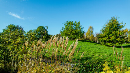 Obraz premium Hannover Bemerode