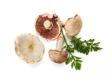 Wild Foraged Mushroom and parsley isolated on white background, with shadow.