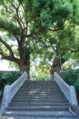 山王神社の被爆クス