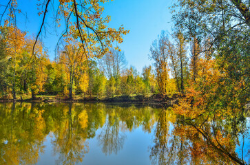 Fototapeta na wymiar Golden autumn on lakeside - picturesque fall landscape near lake