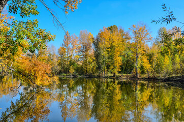 Golden autumn on lakeside - picturesque fall landscape near lake