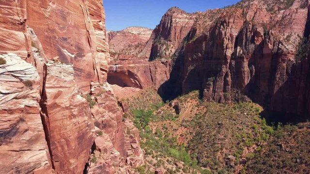 Cinematic Zion National Park 13