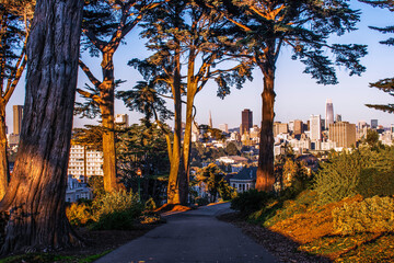 The City San Francisco Seen