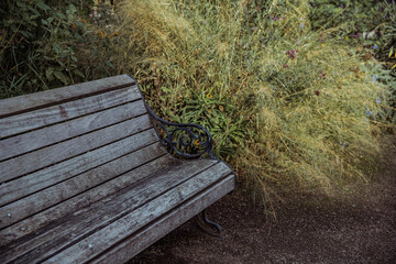 Fototapeta premium Wooden bench in the park