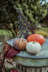 pumpkins and leaves in the garden and sundial