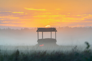 Foggy panorama of meadows at sunrise, the buffer zone of the Bialowieski National Park