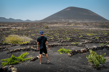 joven observa plantación de uvas en La Geria. .Lanzarote. Las Palmas. Islas Canarias. España