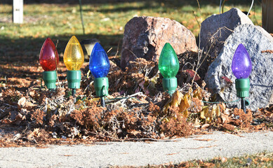 Jumbo Christmas Lights