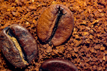 coffee beans on the ground