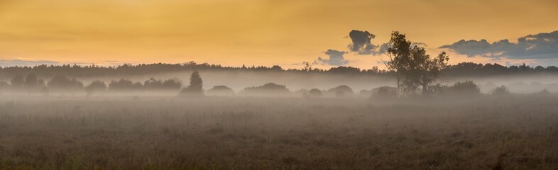 Naklejka na ściany i meble Foggy panorama of meadows at sunrise, the buffer zone of the Bialowieski National Park