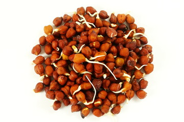 sprouted chickpea beans for salad,soup or cooking,top view