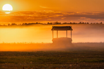 Foggy panorama of meadows at sunrise, the buffer zone of the Bialowieski National Park