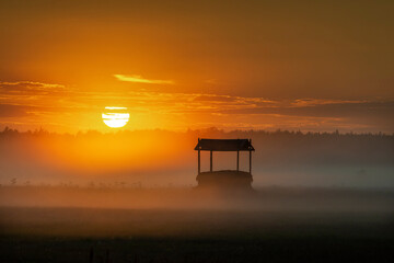 Foggy panorama of meadows at sunrise, the buffer zone of the Bialowieski National Park
