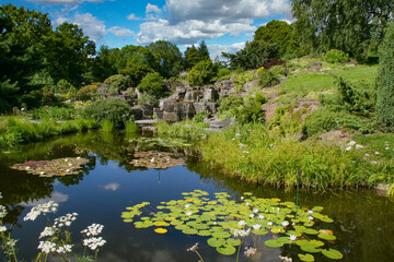 Obraz premium Botanical Garden in Oslo, Norway's capital