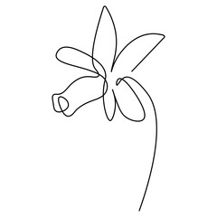 Flower in minimal line style. Modern fashion linear poppy for logo, emblem template. Vector illustration.