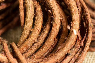 Dried stems of vine shoots of Schisandra chinensis. Wildlife medicinal plants as a natural tonic.
