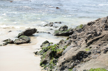 Fototapeta na wymiar Tide pool on the California Coast