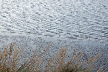 Pebble Beach Shoreline on the California Coast
