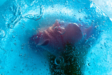 Abstract image of a pink carnation encapsulated in ice
