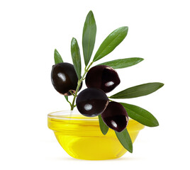a twig of olives and olive oil on a white background