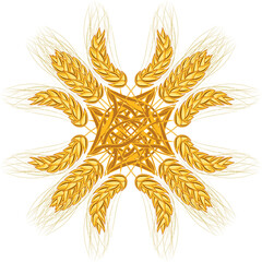 a stalk with an ear of wheat on a white background isolated. Pattern of spikelets that make up the pattern of a circle, wreath, or emblem. 