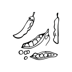 Hand drawn peas in doodle style. Isolated on a white background.
Idea for logo, culinary design, food menu. Black and white vector image.