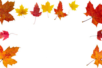 Open frame made of autumn leaves of different colors and different types on a white background.