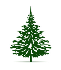Green Spruce Tree and Snow. Winter season design elements and simply pictogram. Isolated vector Illustration.