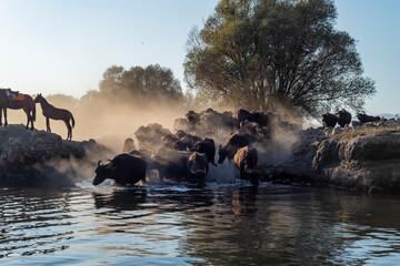 Fototapety na wymiar - Fototapeta24.pl