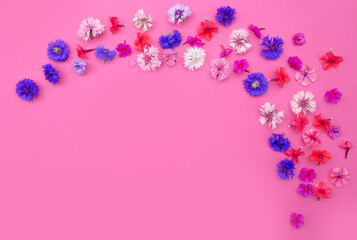 Naklejka na ściany i meble beautiful wild flowers on pink background view from above.