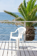 白いイスとやしの木