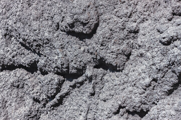 The texture of the plastered wall. Rough corrugated cement surface. Uneven pattern. Suitable for...