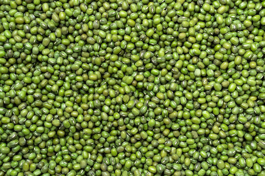 Green beans, Dried mung beans background. Vegetarian food rich in protein. Healthy food concept.
