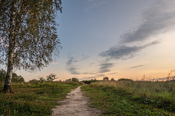 Fototapeta na wymiar landscape background of a road among a meadow at sunset