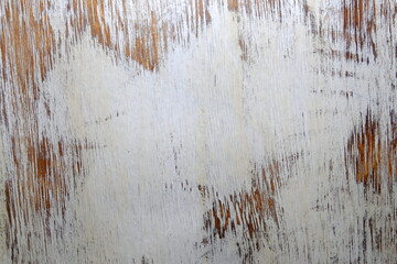 white wooden background