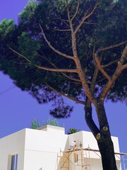 Processed with VSCO with e1 preset