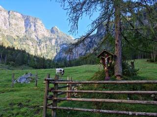 landscape with fence