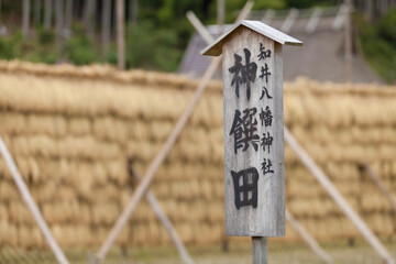 知井八幡神社の神饌田