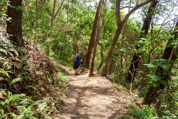 Man exercising doing mountain trekking on one of the paths of Sabas Nieves, a place well known by visitors to the Avila mountain or Waraira Repano.
