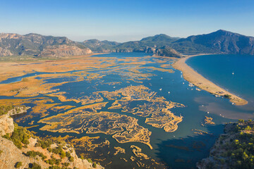 Fototapeta na wymiar aerial view to bay and coast with golden grass in sunny day