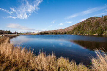 Lago con montaña al fondo y bosque 