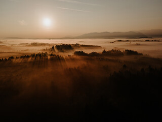 Traumlandschaft Sonne, Nebel, Bäume, Licht im Abendrot