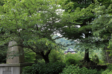 Obraz premium 新緑の信貴山