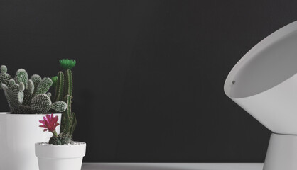 A scene with cactus and light and a black background. Interior decoration